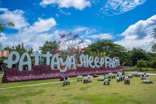 photo_2022-11-08_14-50-47