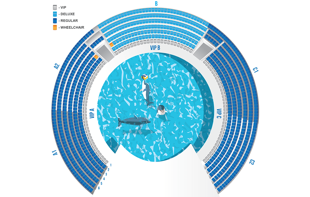 Схема зала Москвариум на ВДНХ. Схема зала океанариума на ВДНХ. Дельфинарий Новосибирск схема зала. Сочинский дельфинарий схема зала.