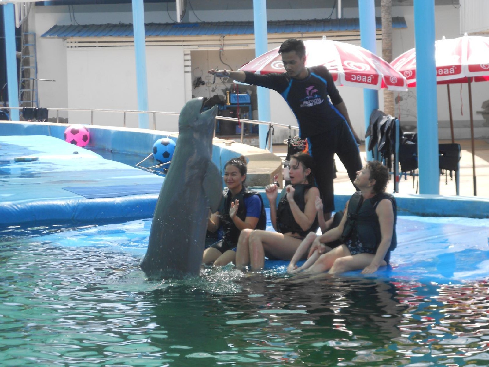 Pattaya Dolphin World