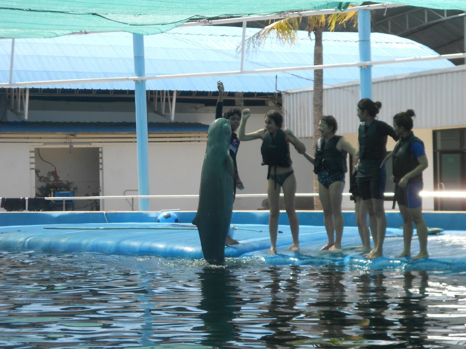 Pattaya Dolphin World