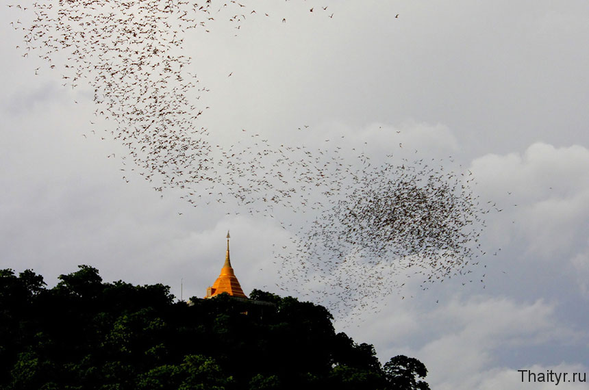 Гора летучих мышей в окрестностях Хуа Хина