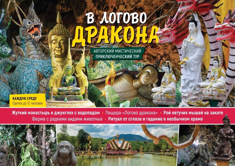 В Логово Дракона